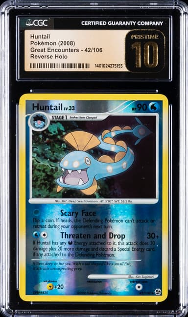 Huntail