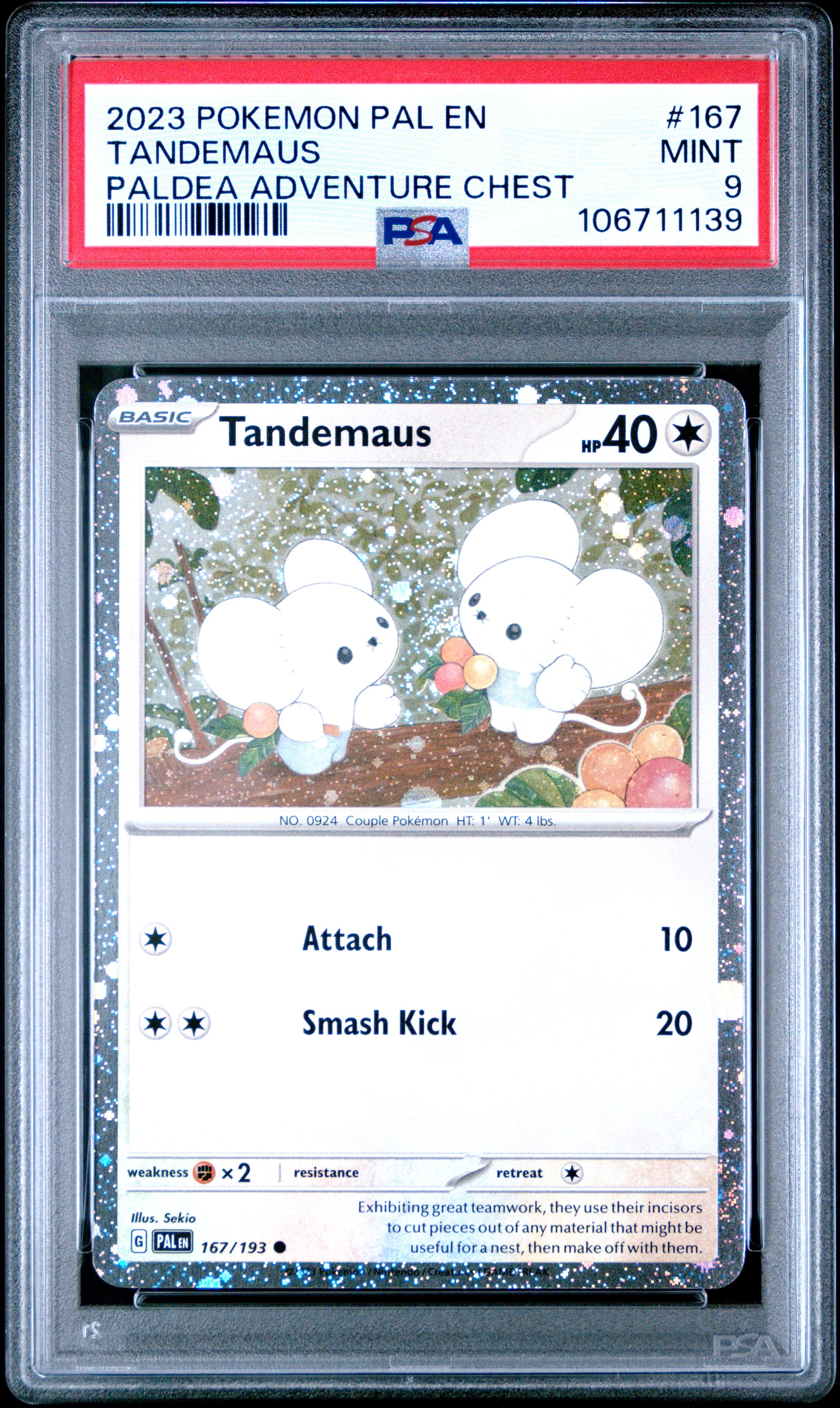 Tandemaus