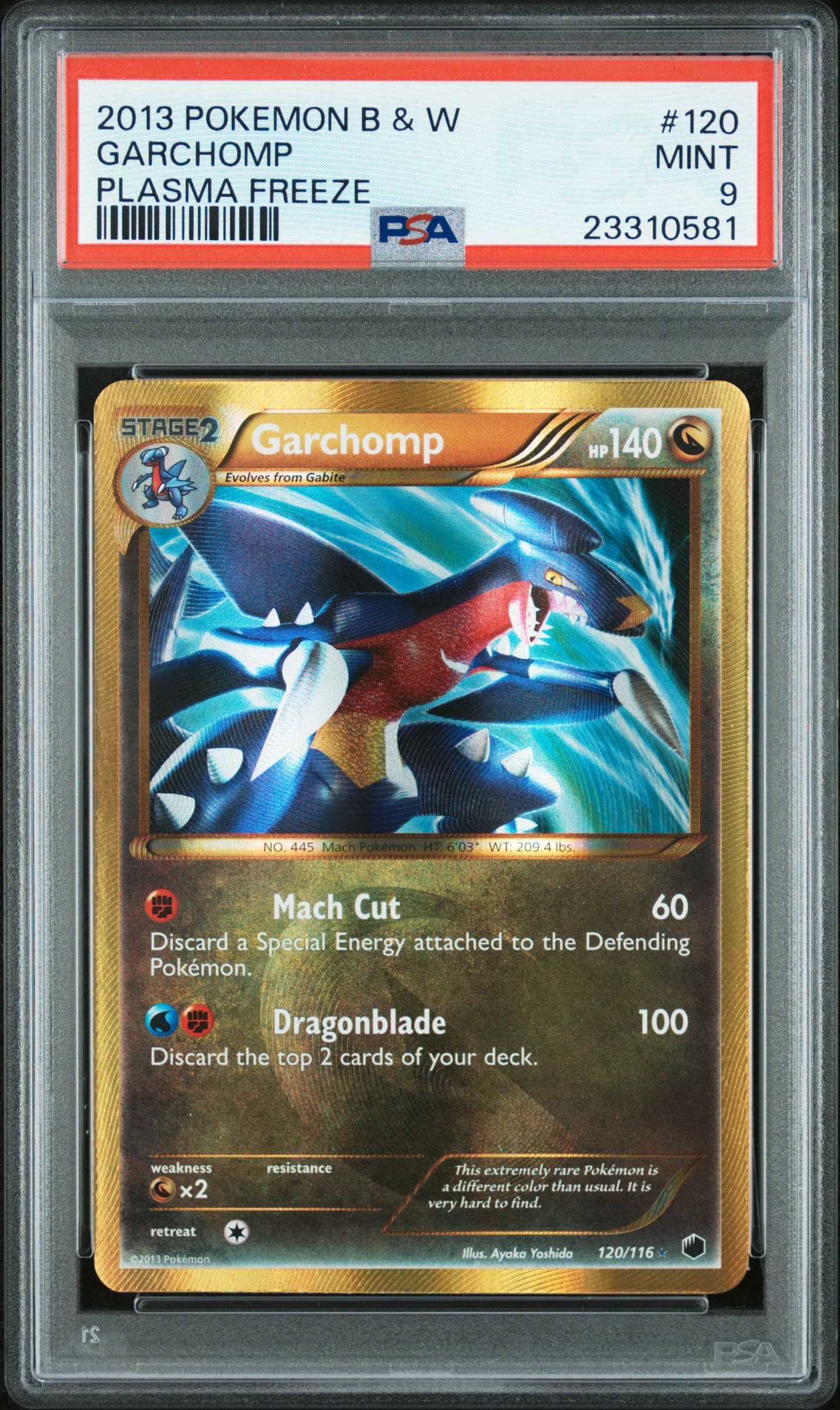 Garchomp