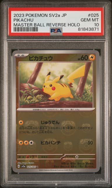 Pikachu Master Ball Reverse Holo