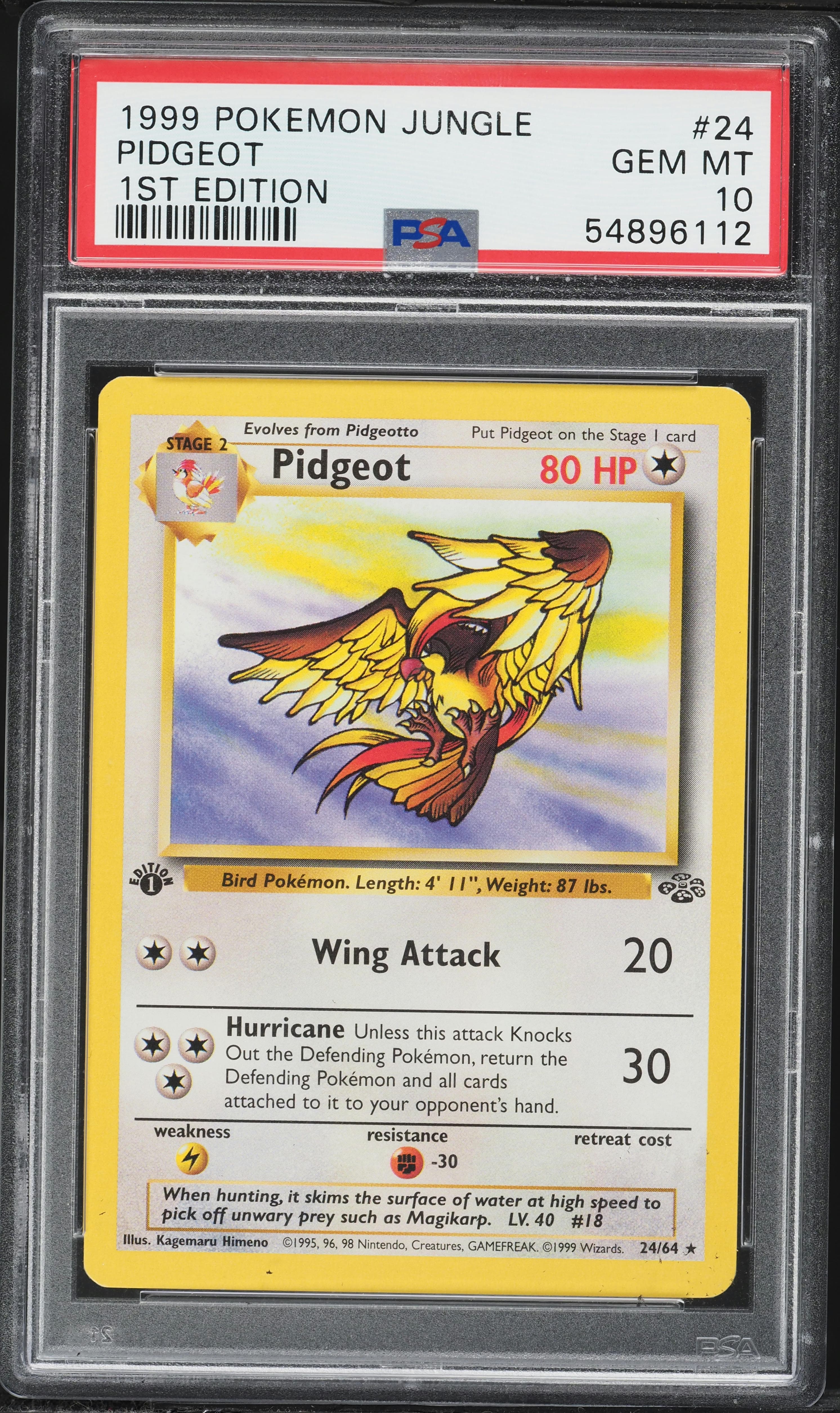 Pidgeot 1st Edition