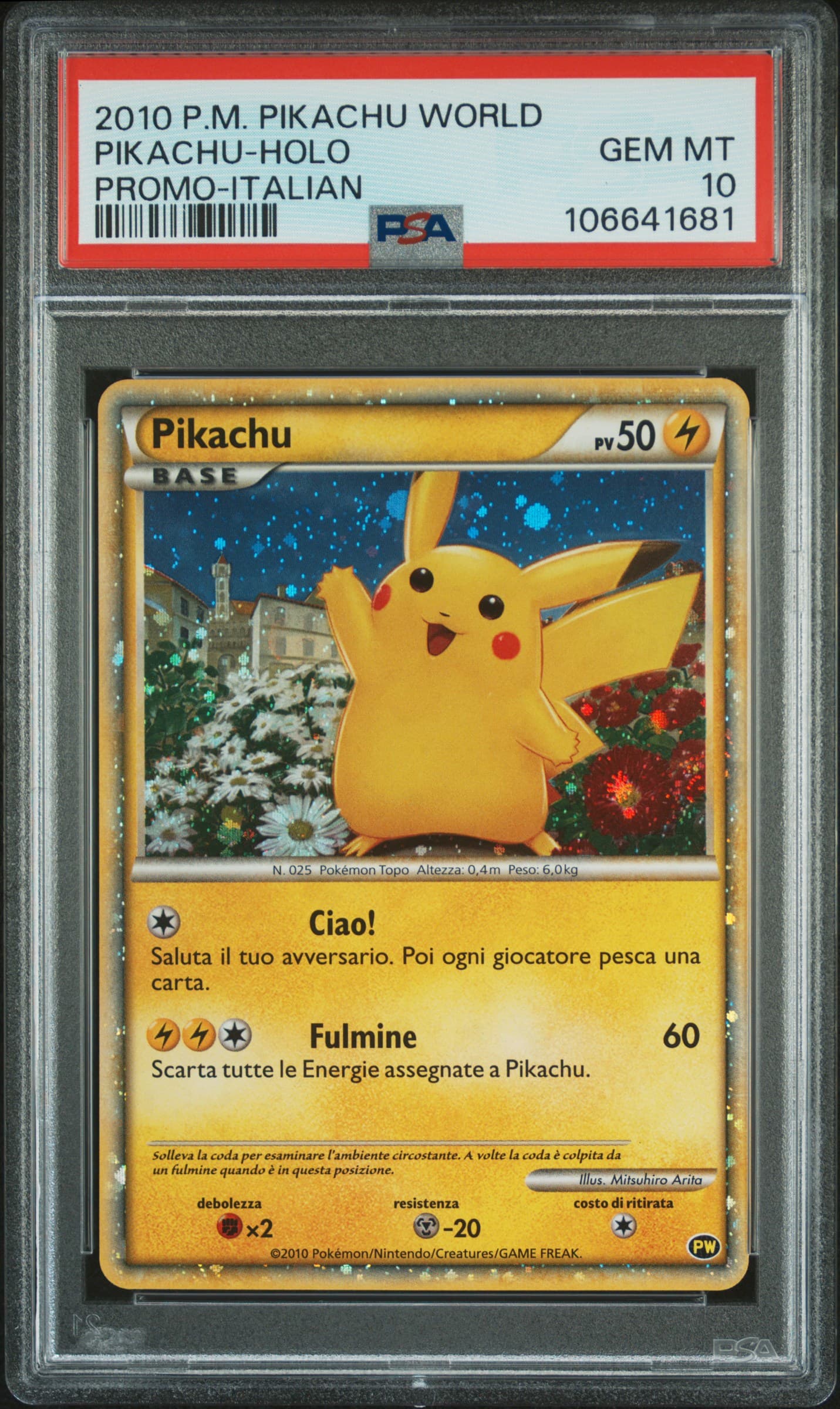 PIKACHU-HOLO 2010