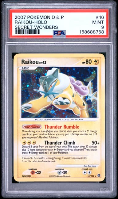 Raikou-Holo