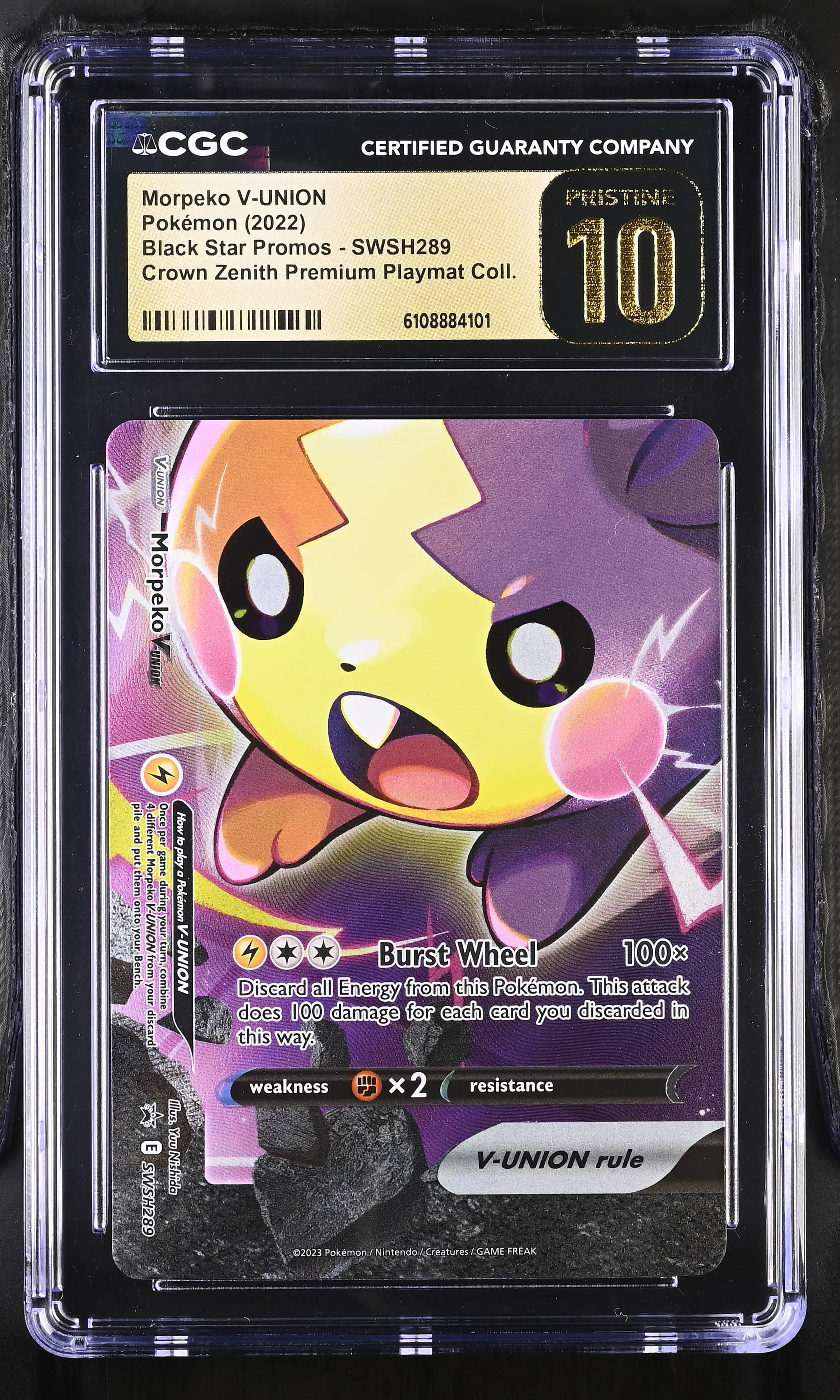 Morpeko V-UNION