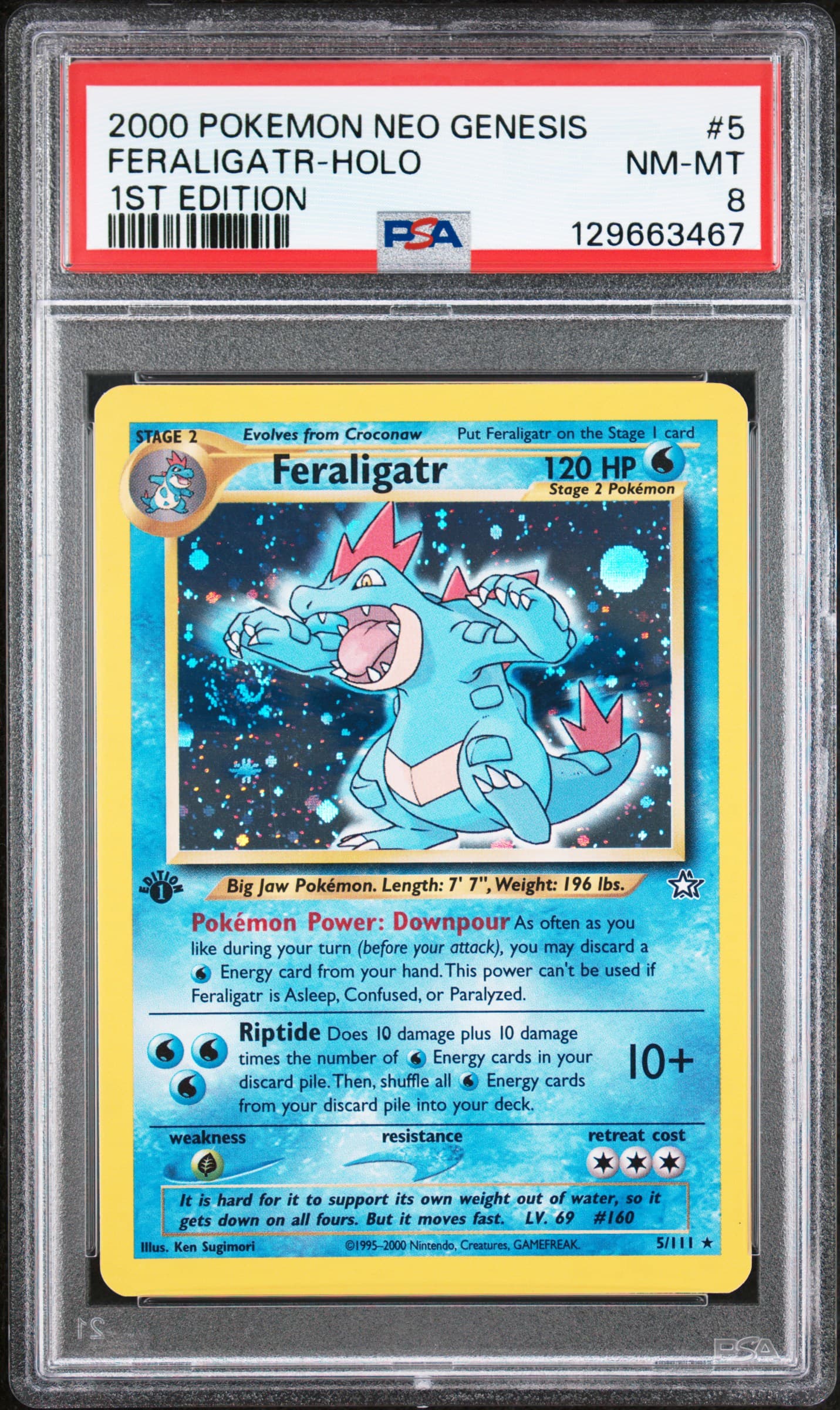 Feraligatr-Holo