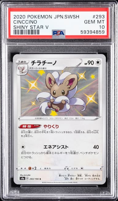 Cinccino