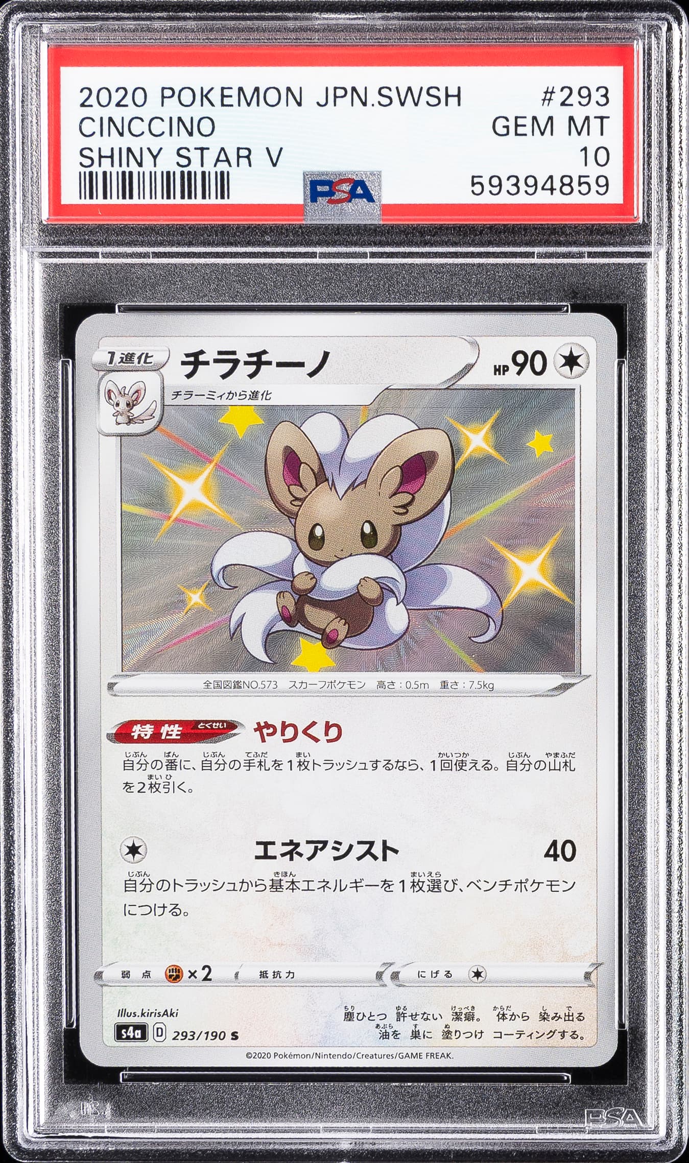 Cinccino