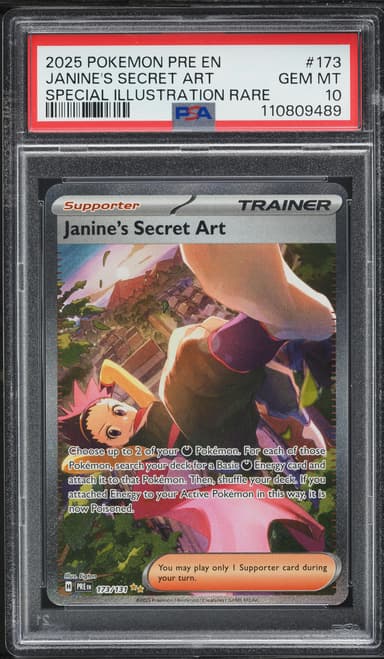 Janine's Secret Art