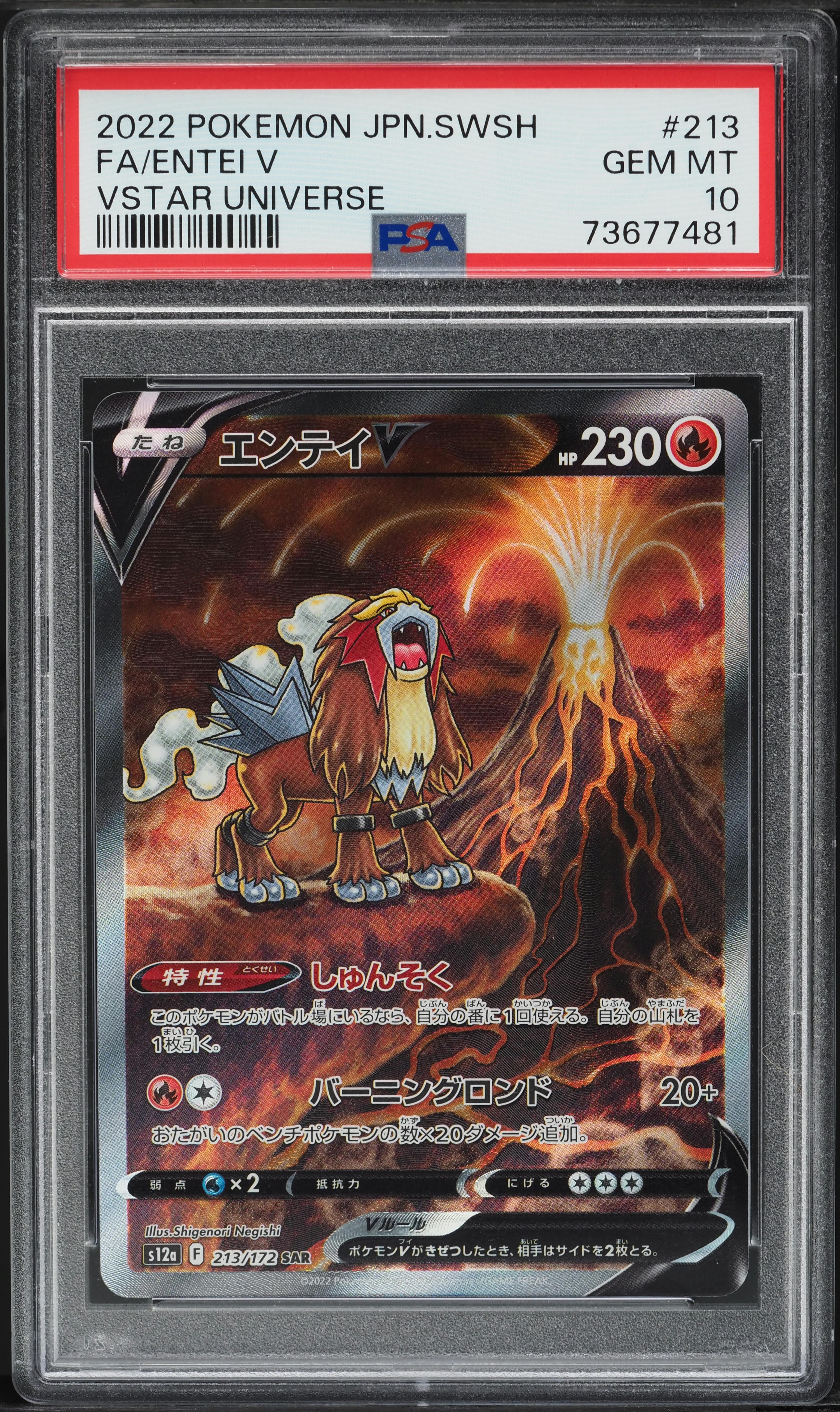 JAPANESE SWSH VSTAR UNIVERSE SPECIAL ART RARE ENTEI V