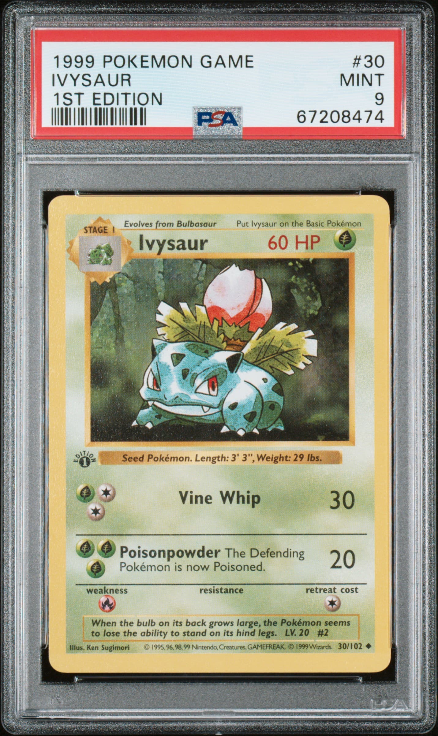 Ivysaur 1st Edition