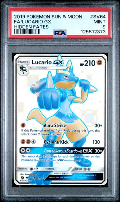 Full Art/Lucario GX