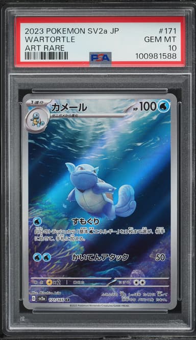 Wartortle