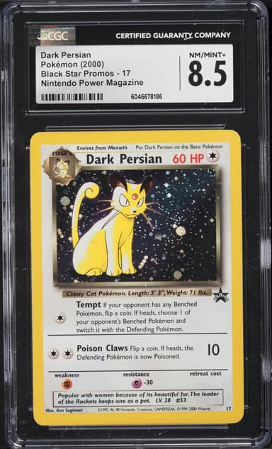 Dark Persian-Holo