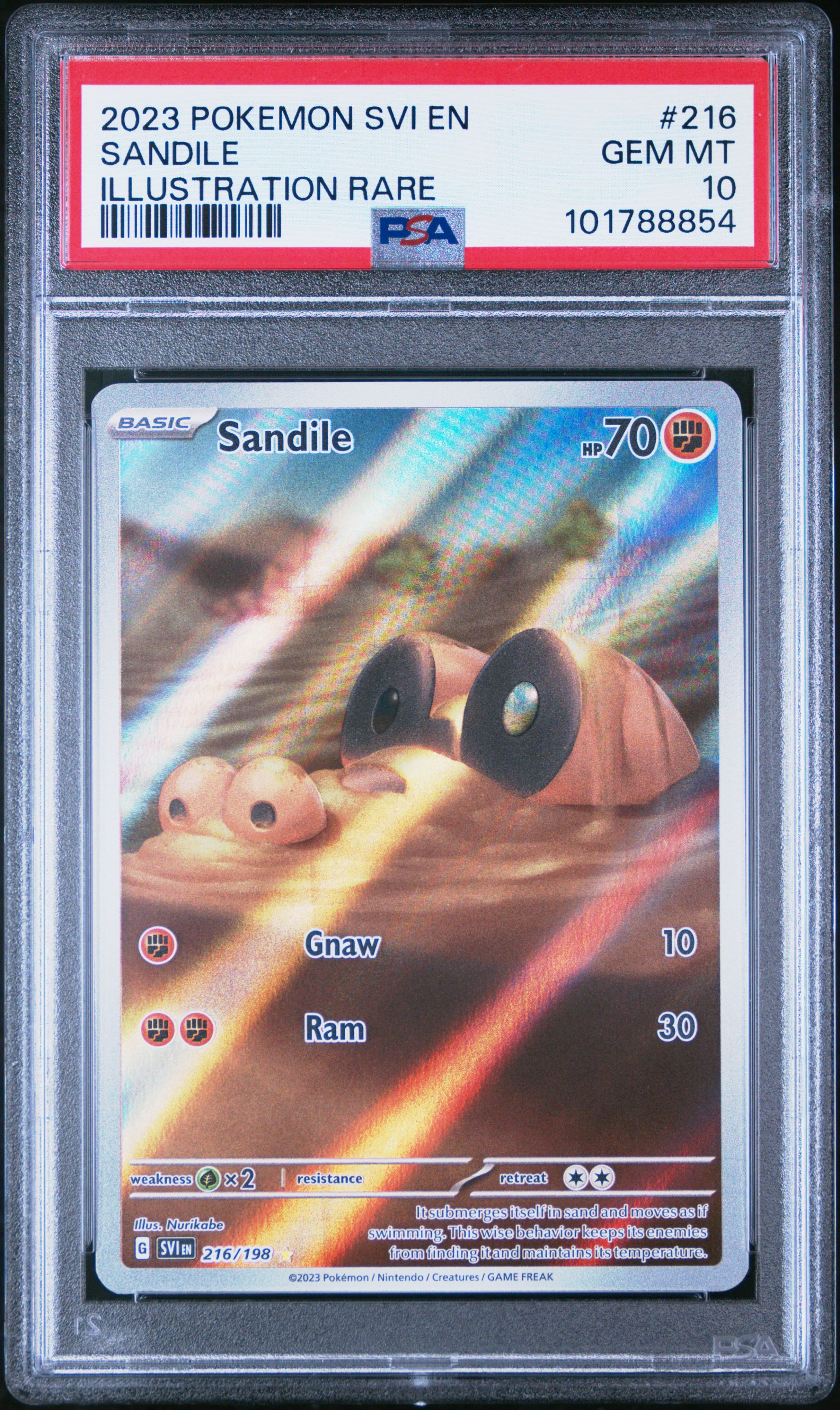 Sandile