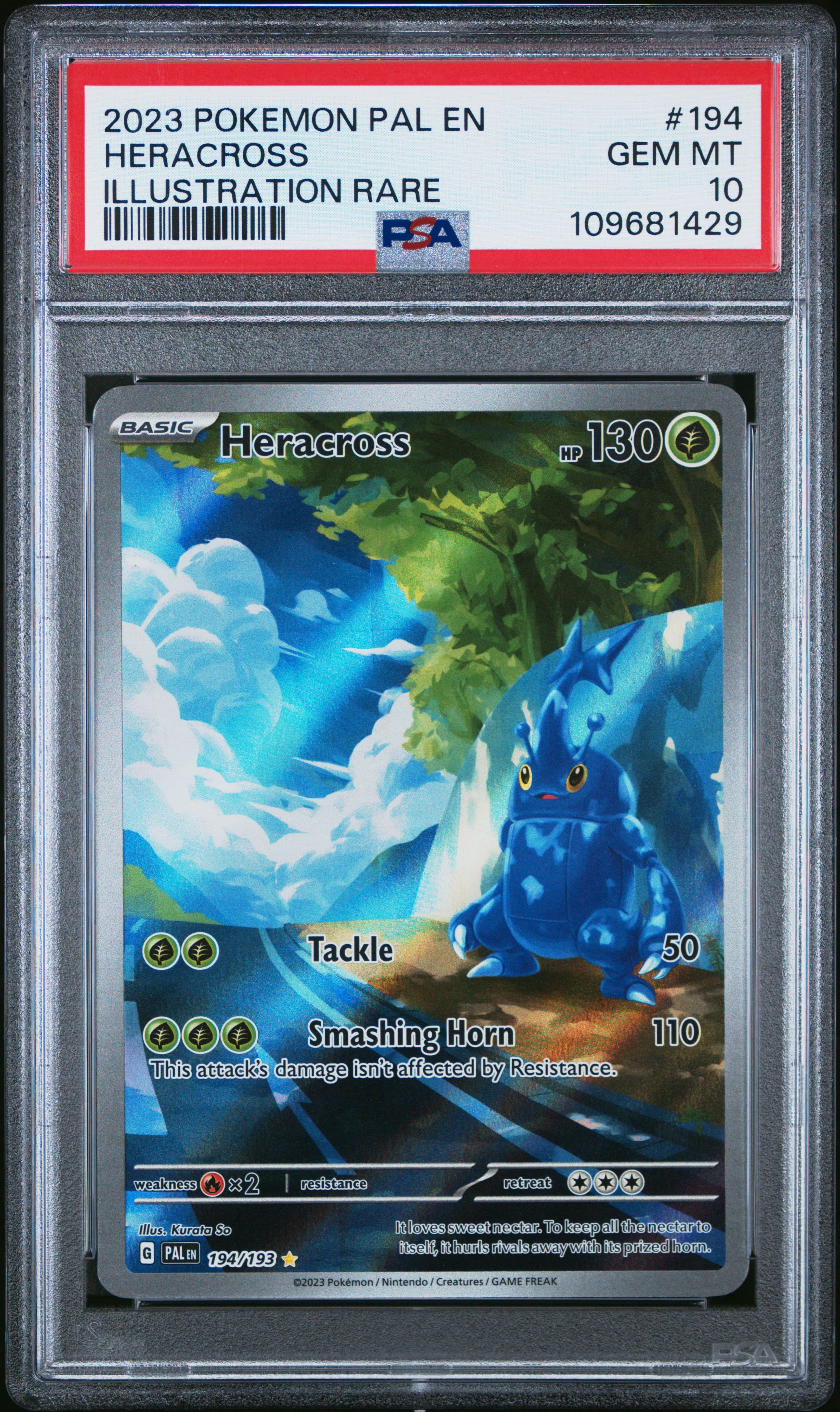 Heracross