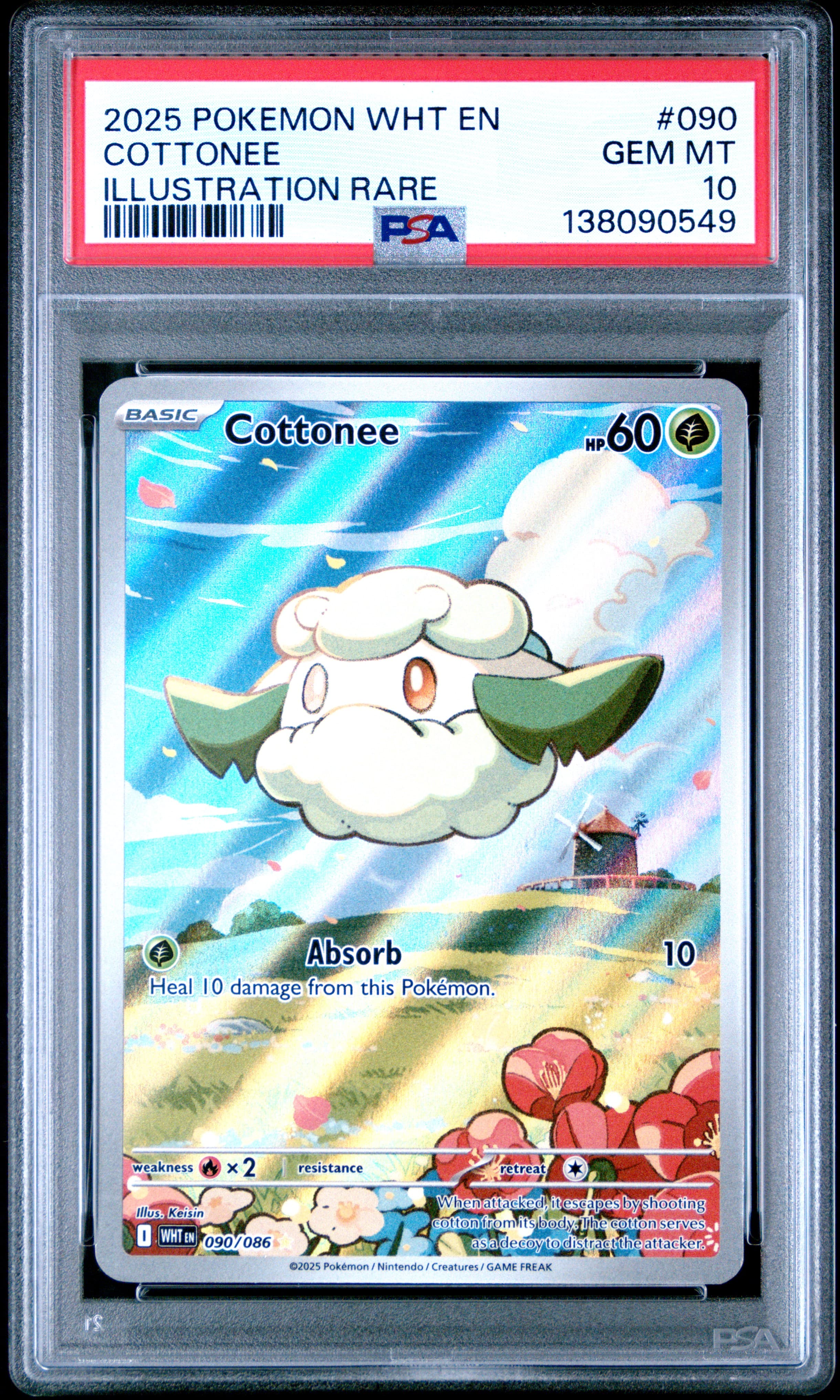 Cottonee