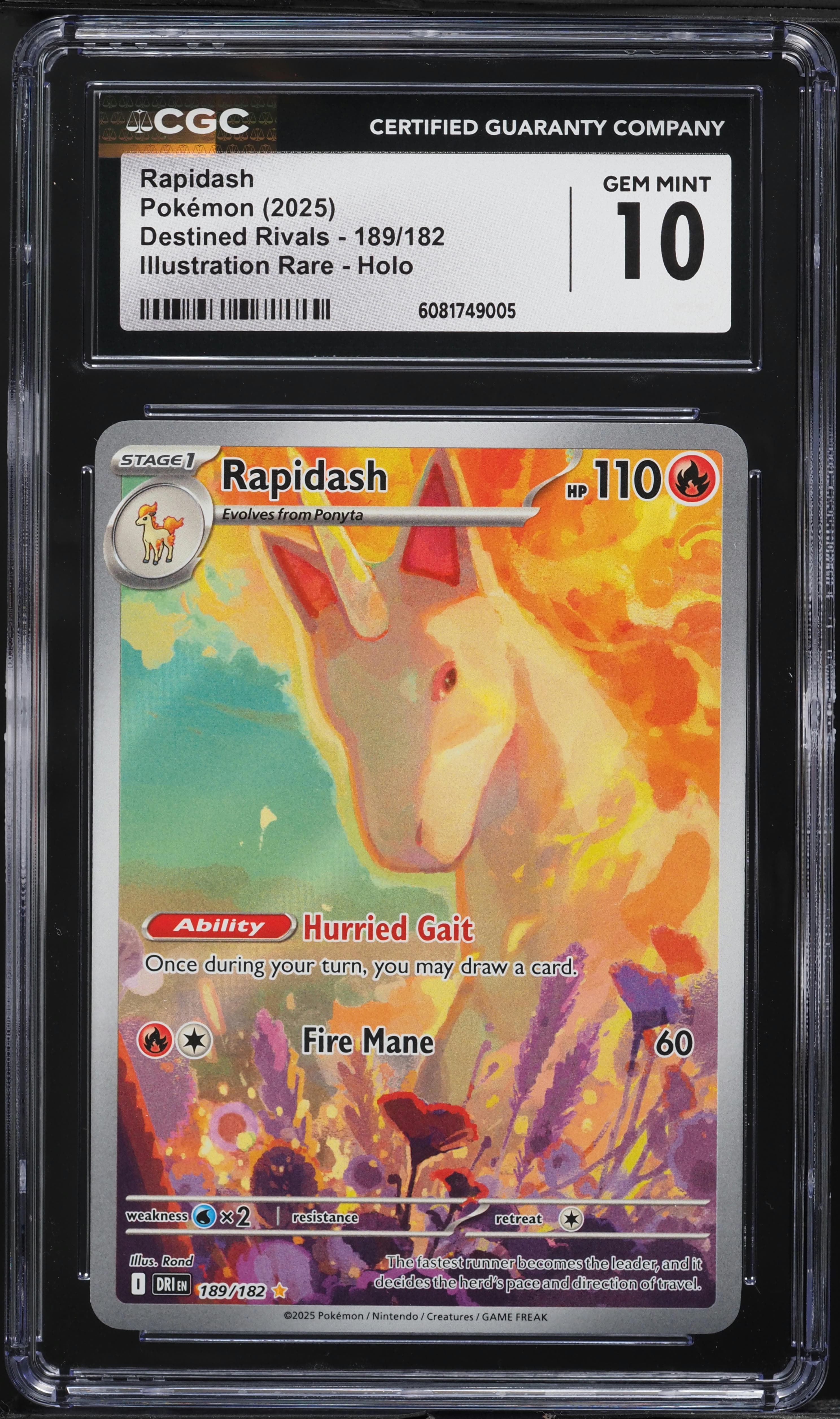 Rapidash