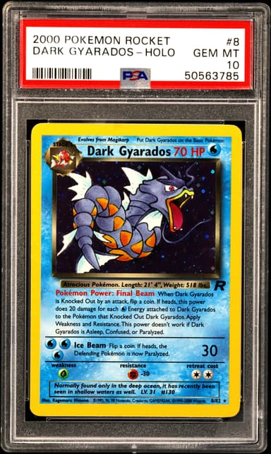 Dark Gyarados-Holo