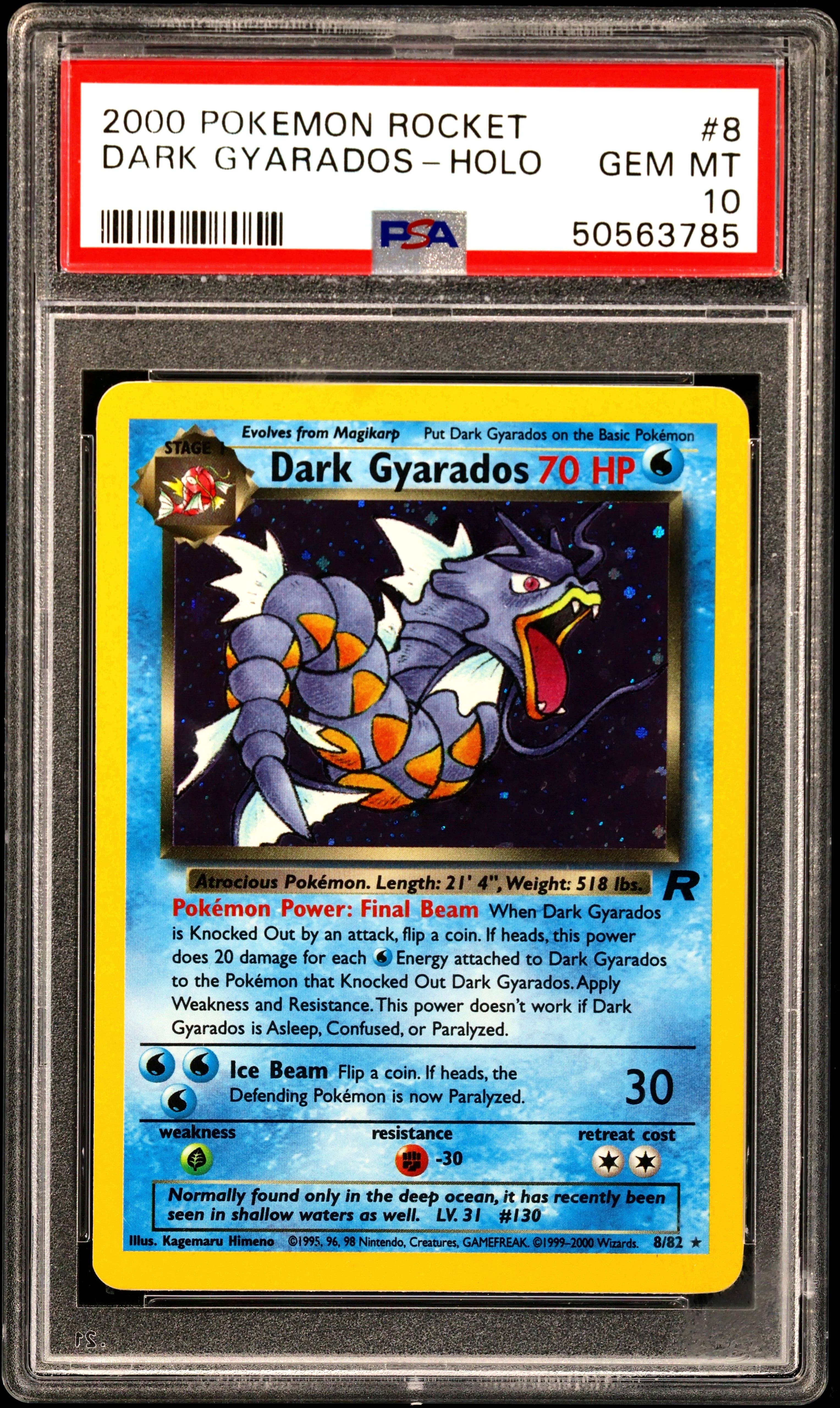 Dark Gyarados-Holo