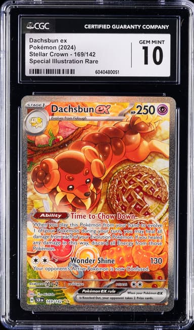 Dachsbun ex