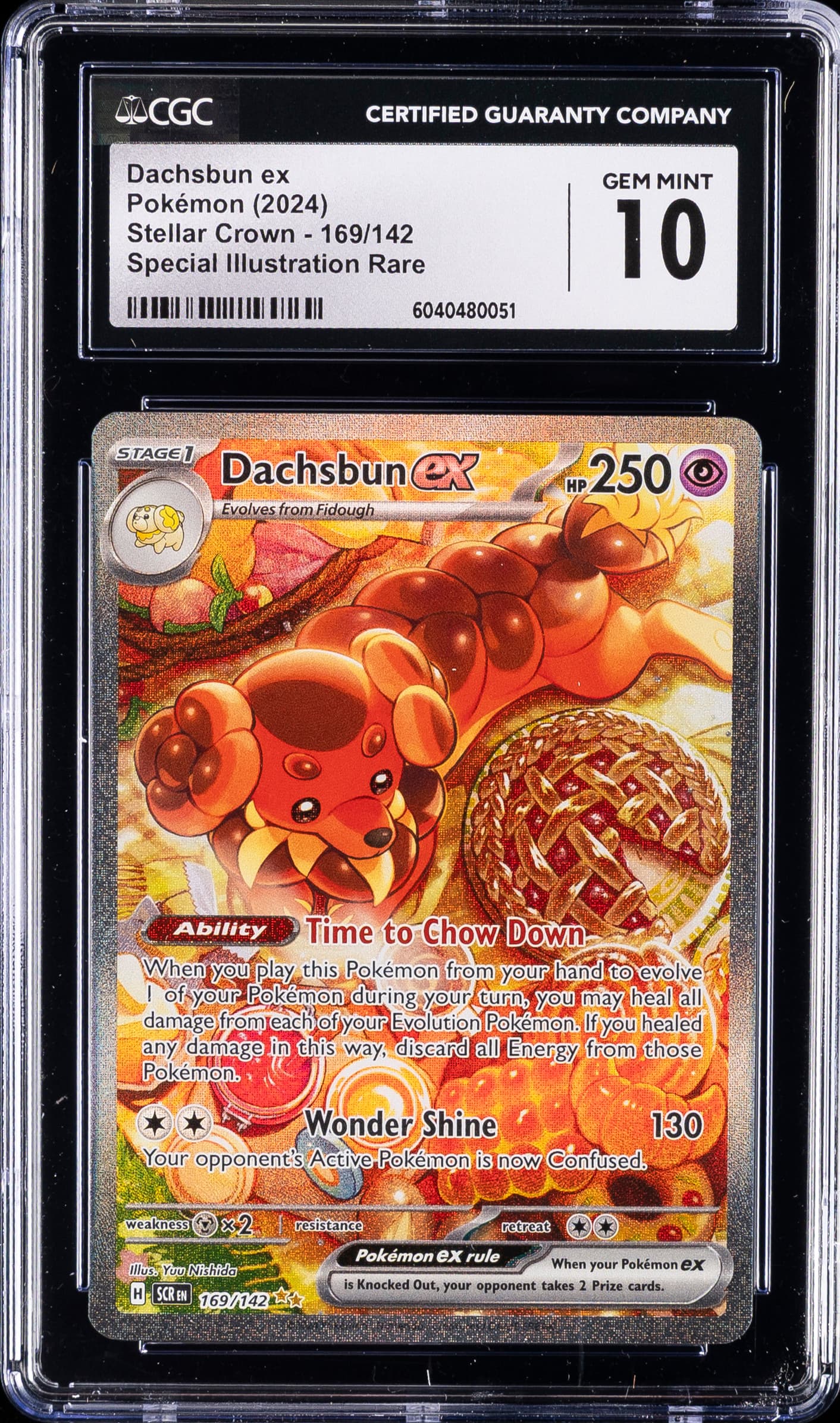Dachsbun ex
