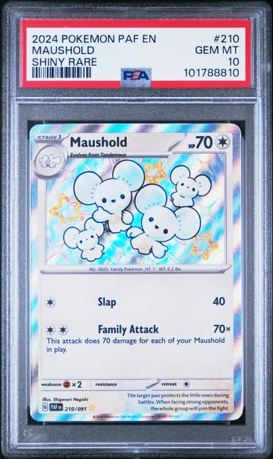 MAUSHOLD