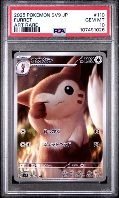 Furret
