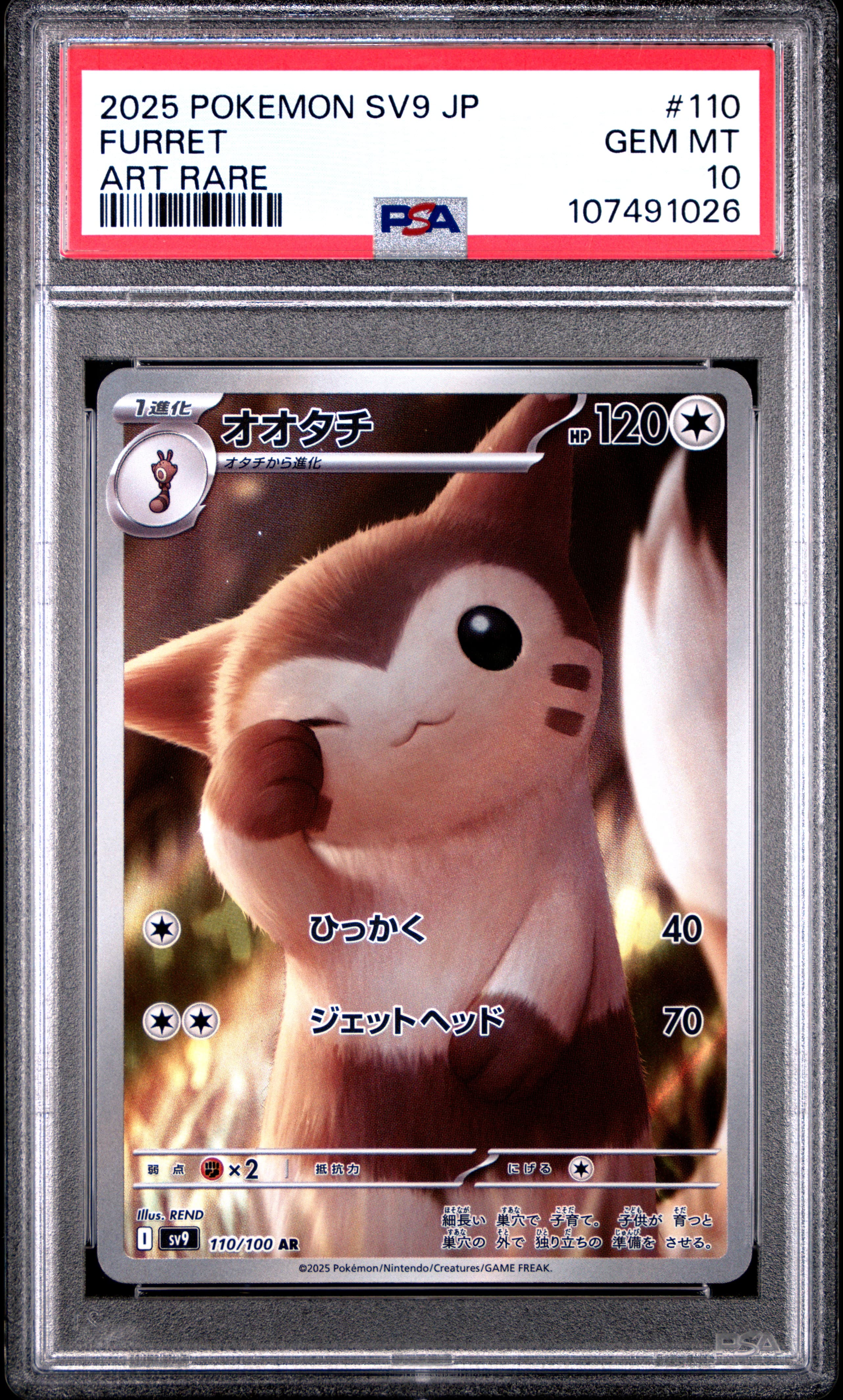 Furret