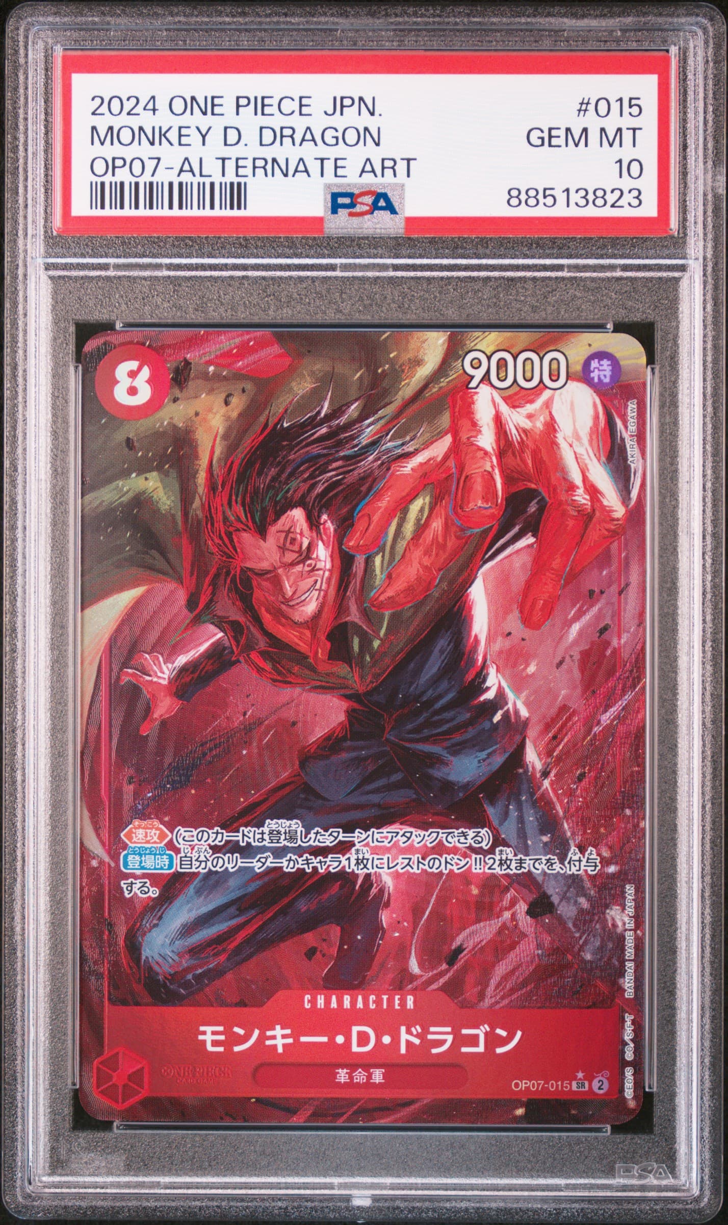 Monkey D. Dragon