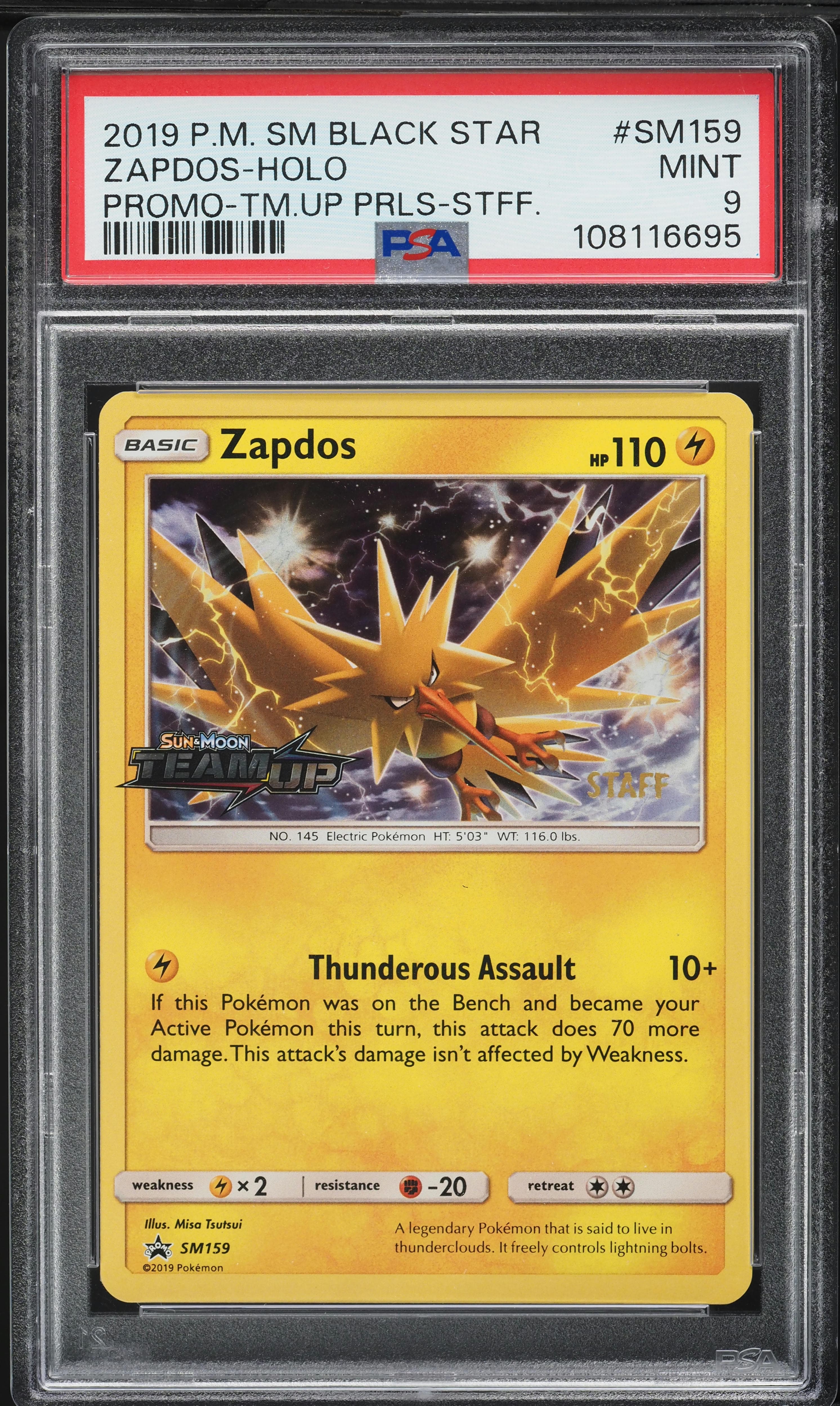 Zapdos-Holo