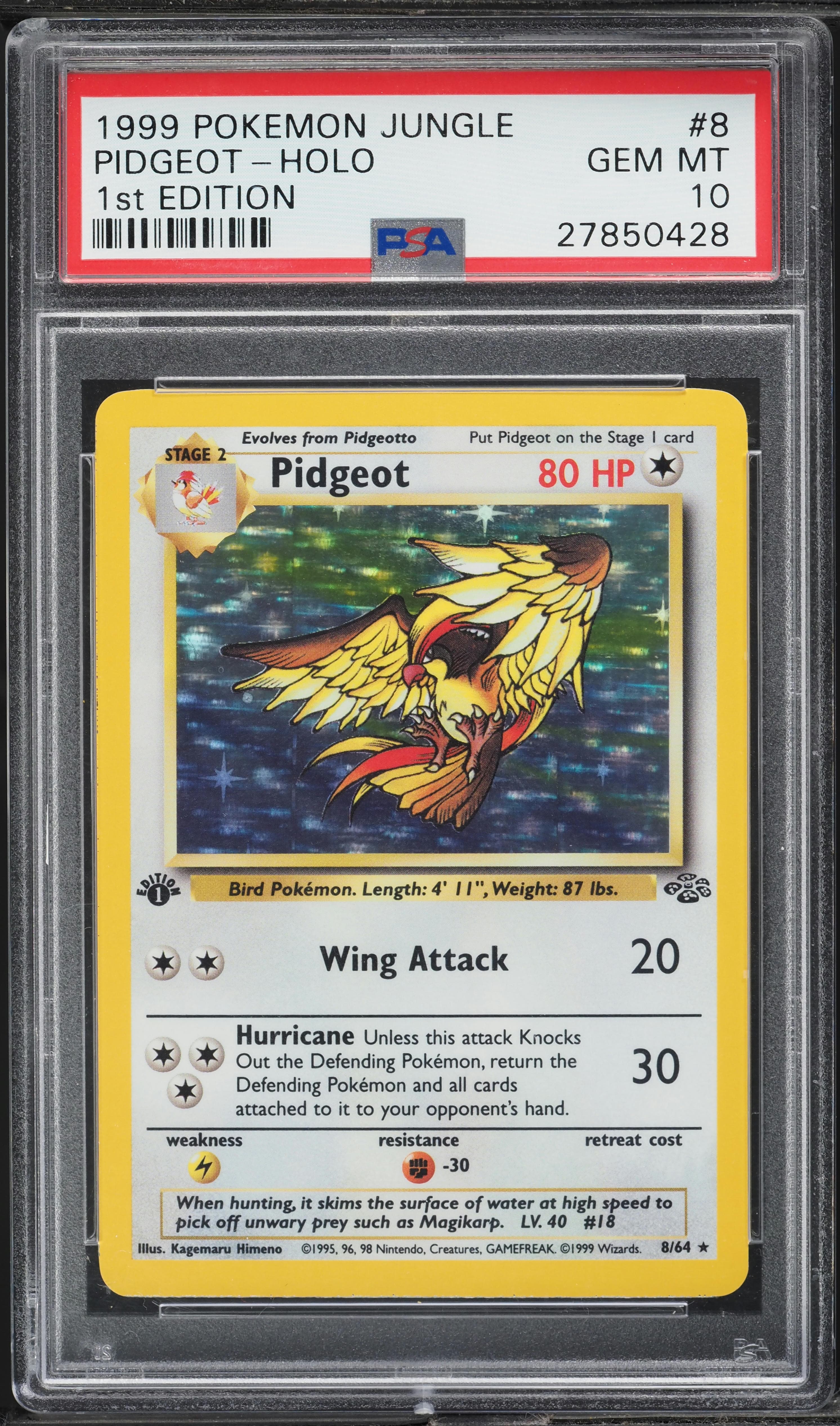 Pidgeot-Holo 1st Edition