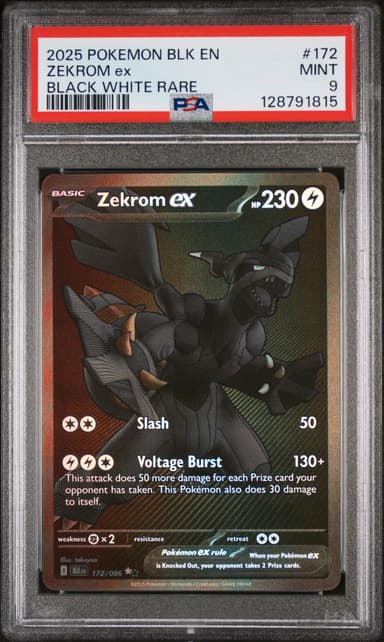 Zekrom EX