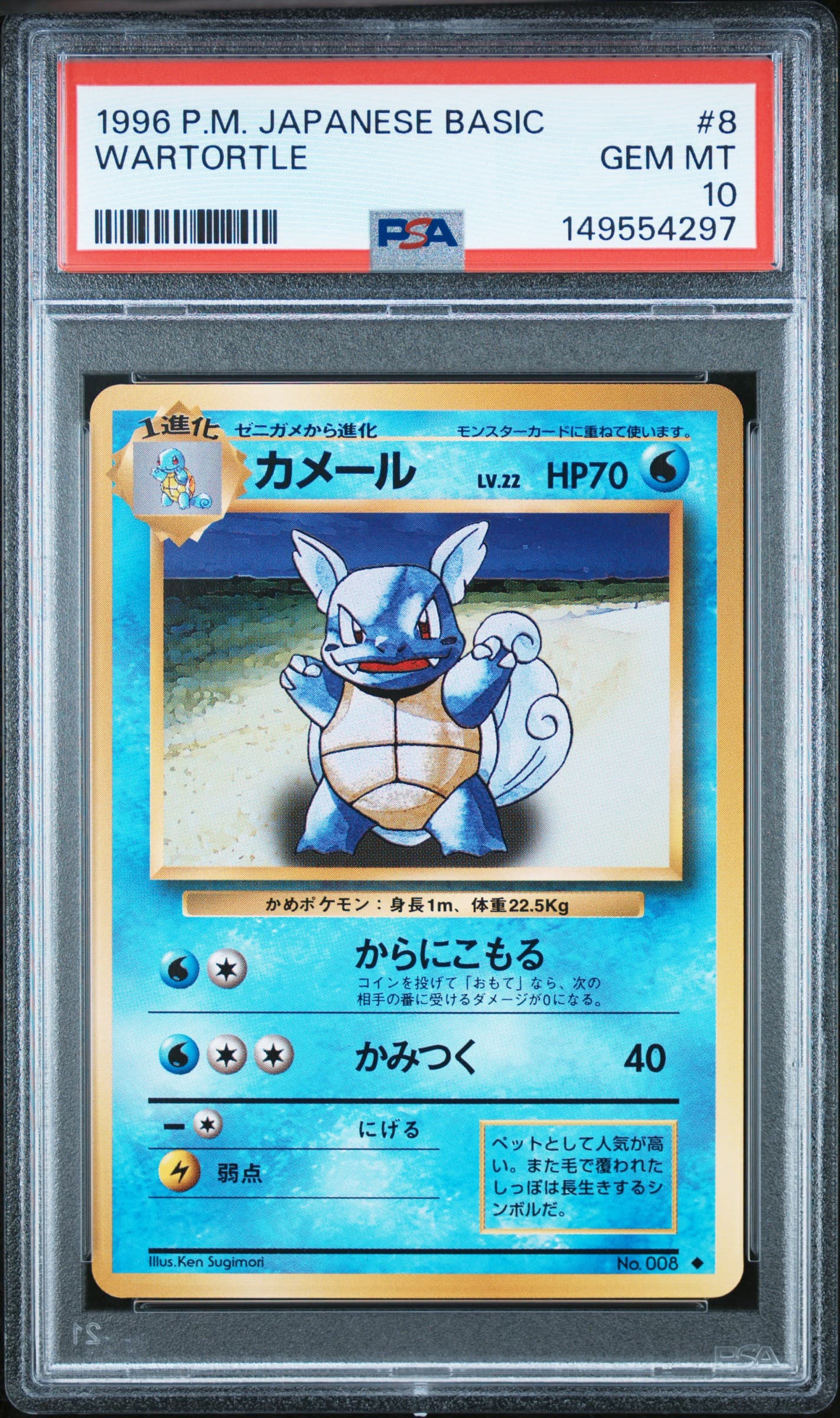 Wartortle