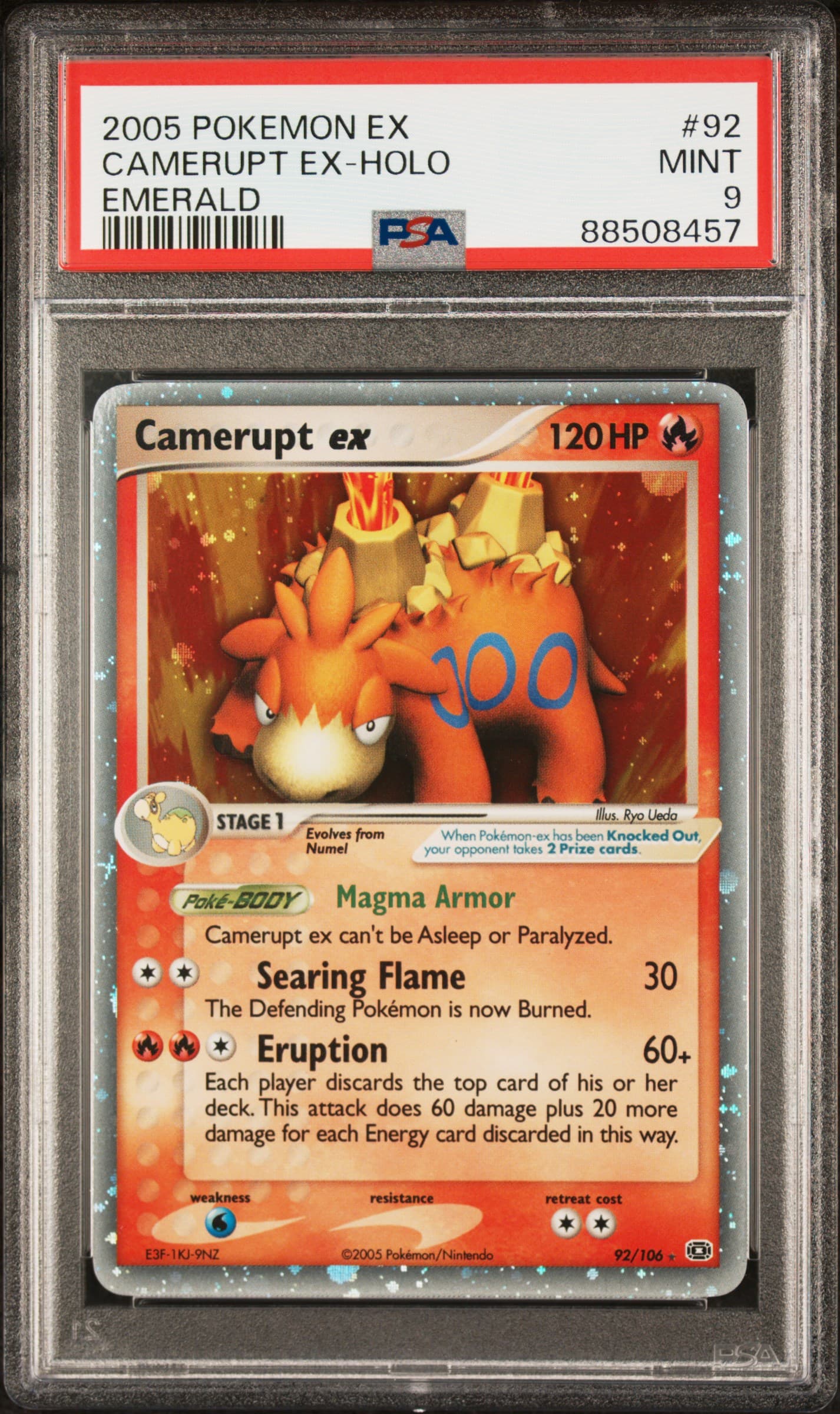 Camerupt EX-Holo