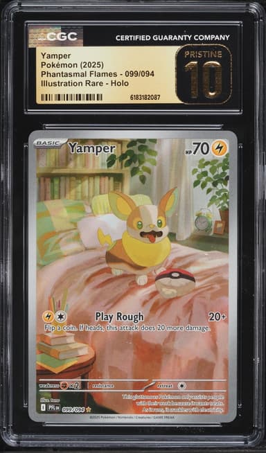 Yamper