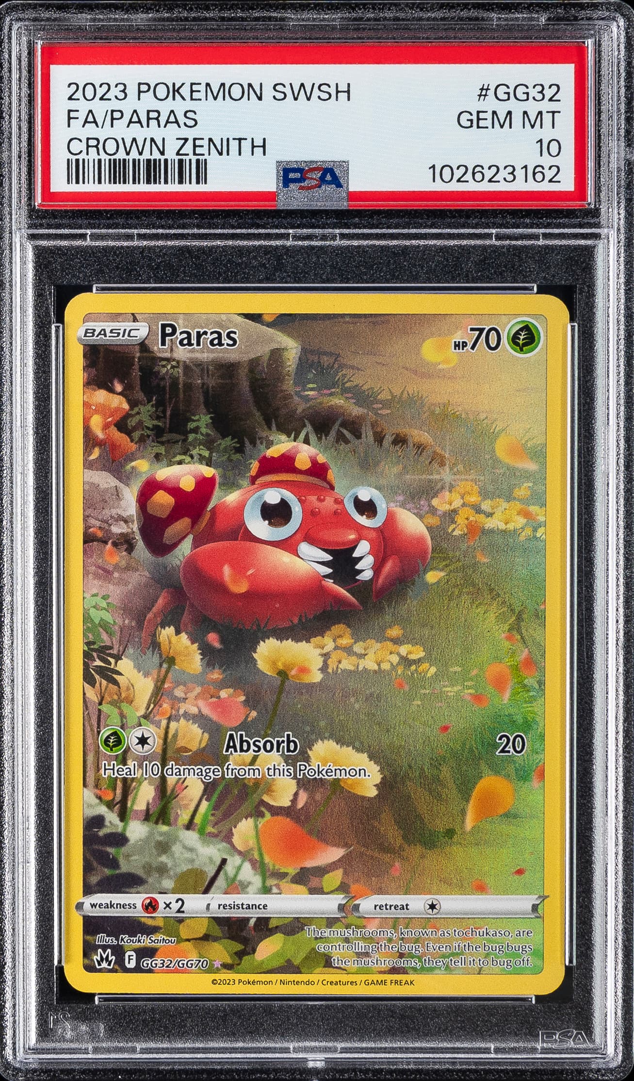 Full Art/Paras