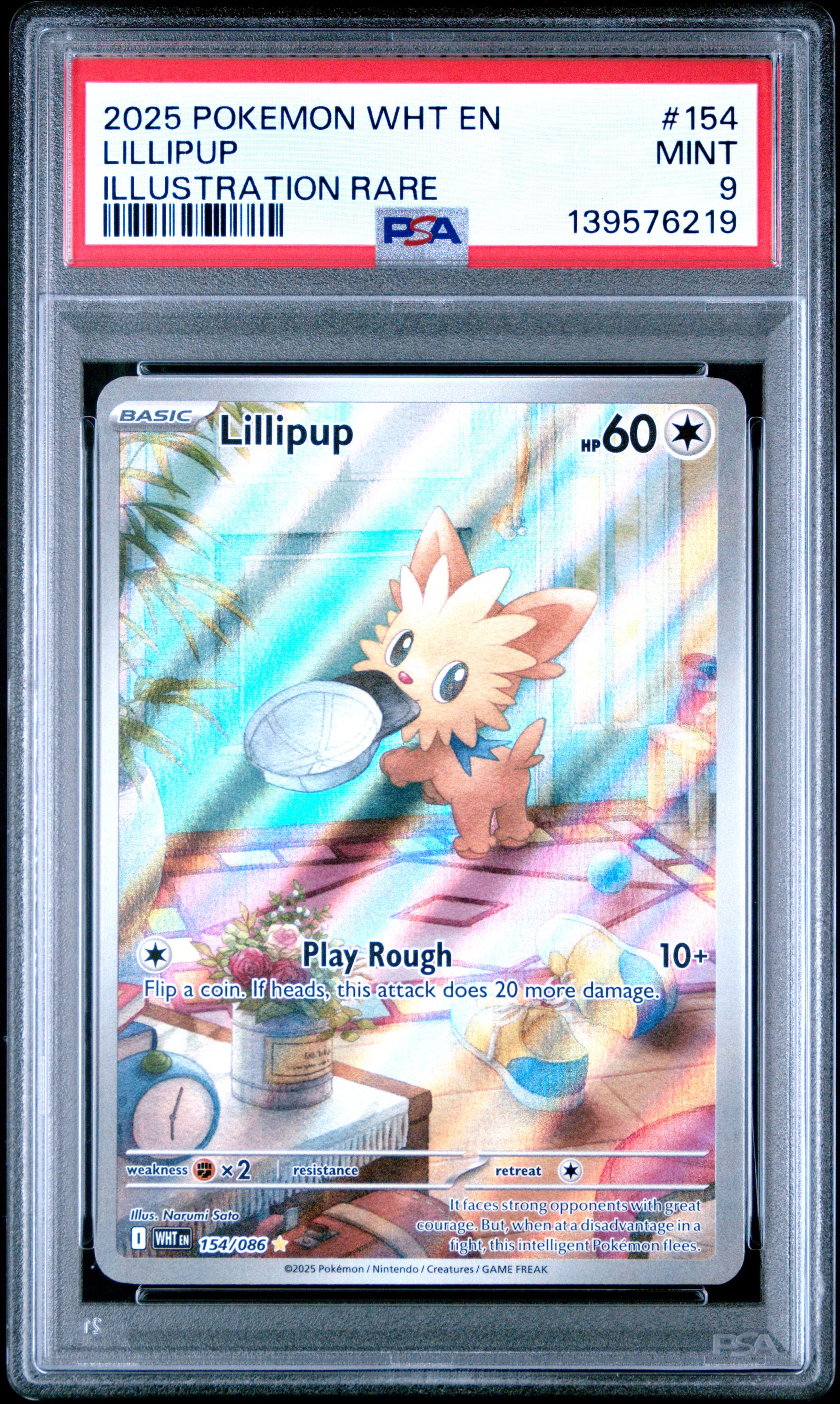 Lillipup