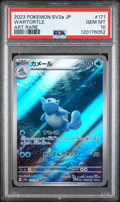 Wartortle