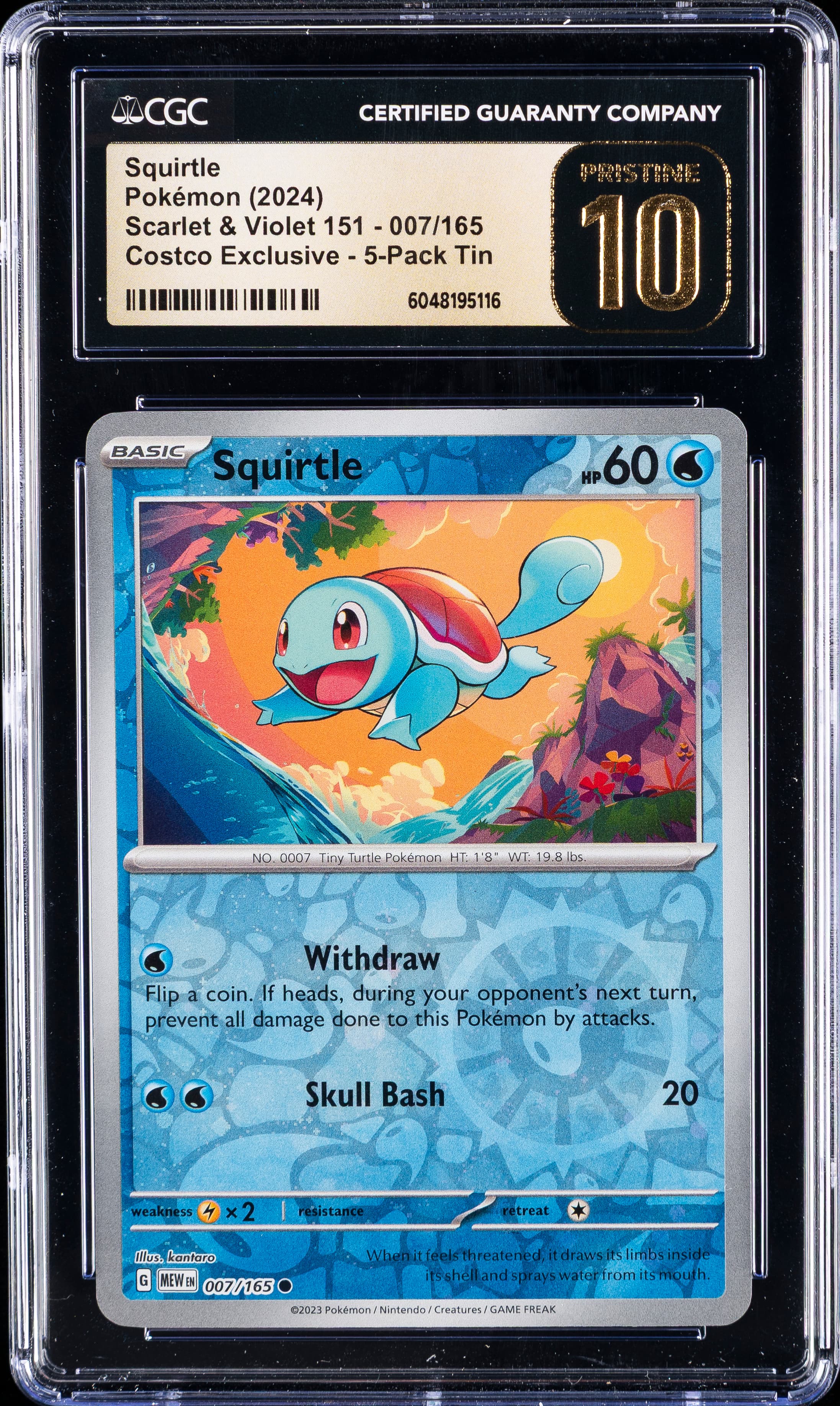 Squirtle
