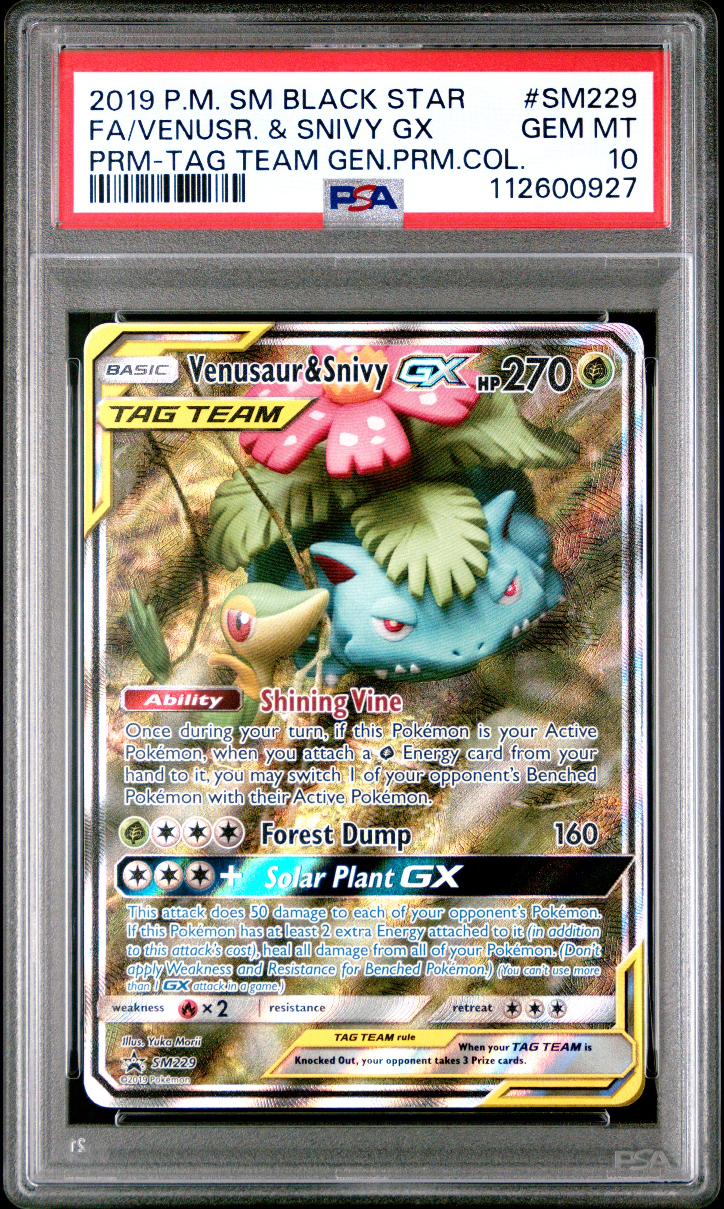 Full Art/Venusaur & Snivy GX