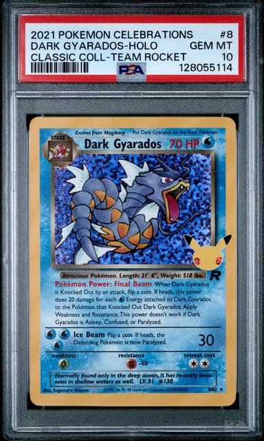 Dark Gyarados-Holo
