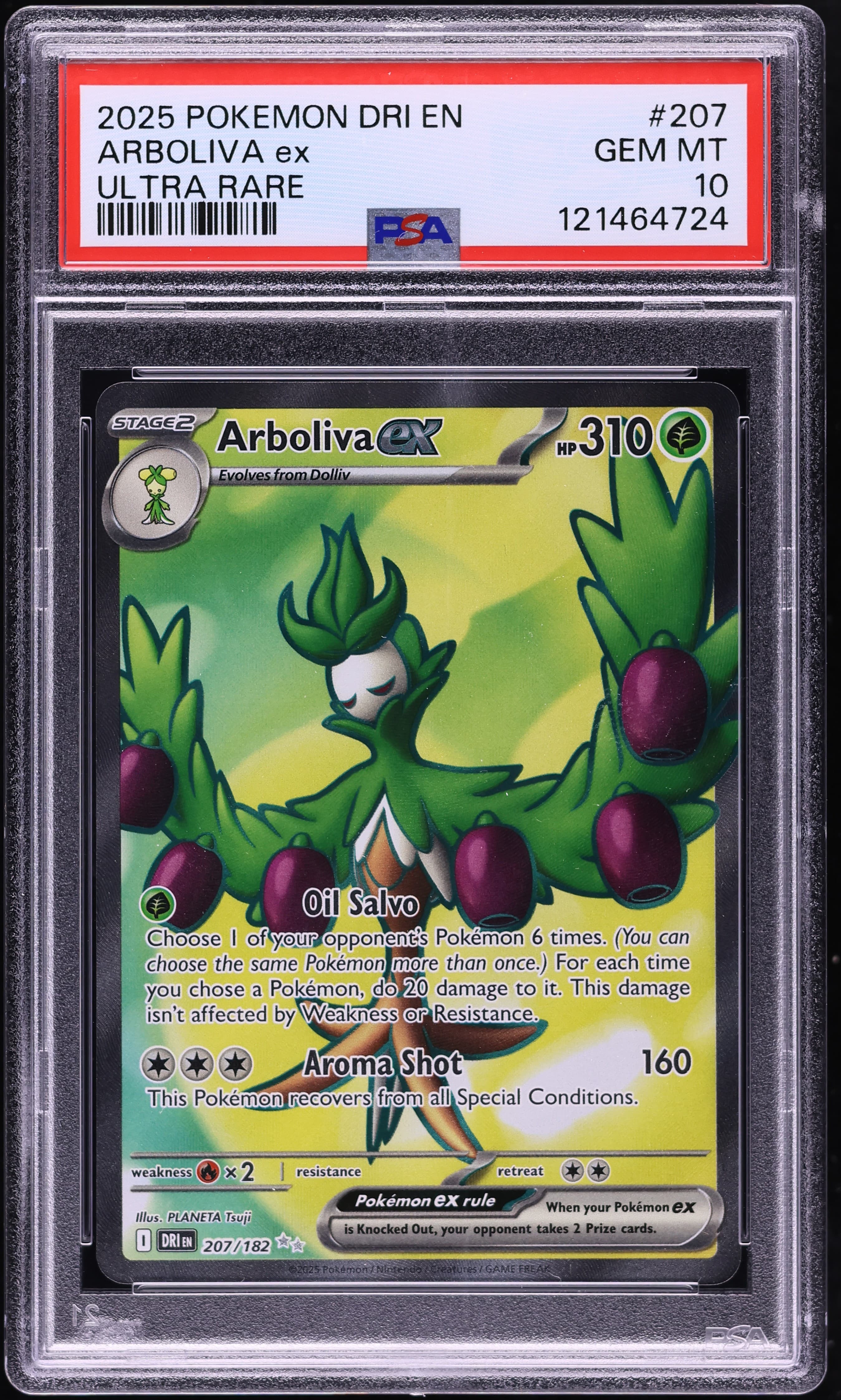 Arboliva EX