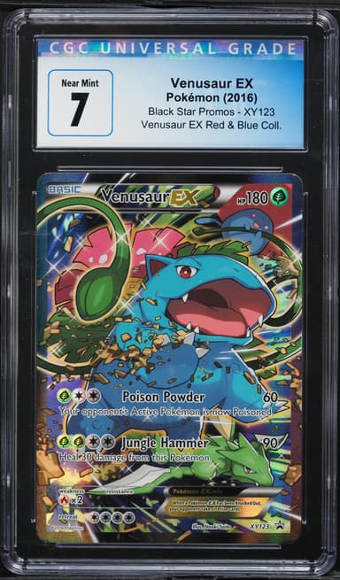 Full Art/Venusaur EX