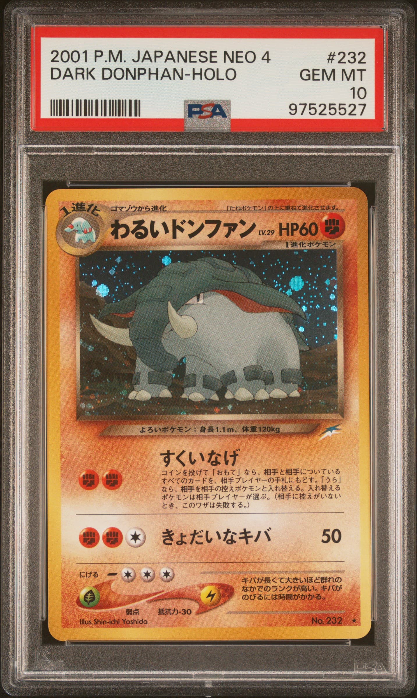 Dark Donphan-Holo