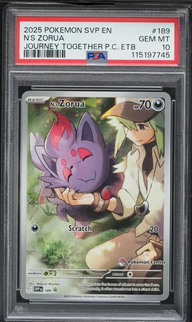 N's Zorua