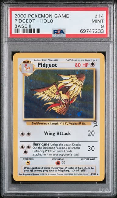 Pidgeot-Holo