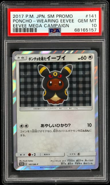 Poncho-Wearing Eevee