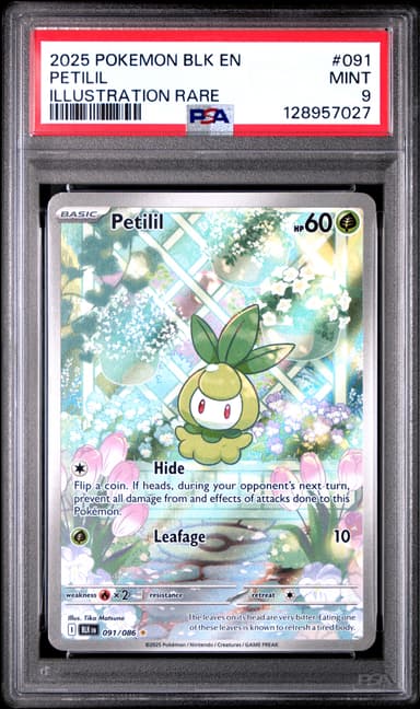 Petilil