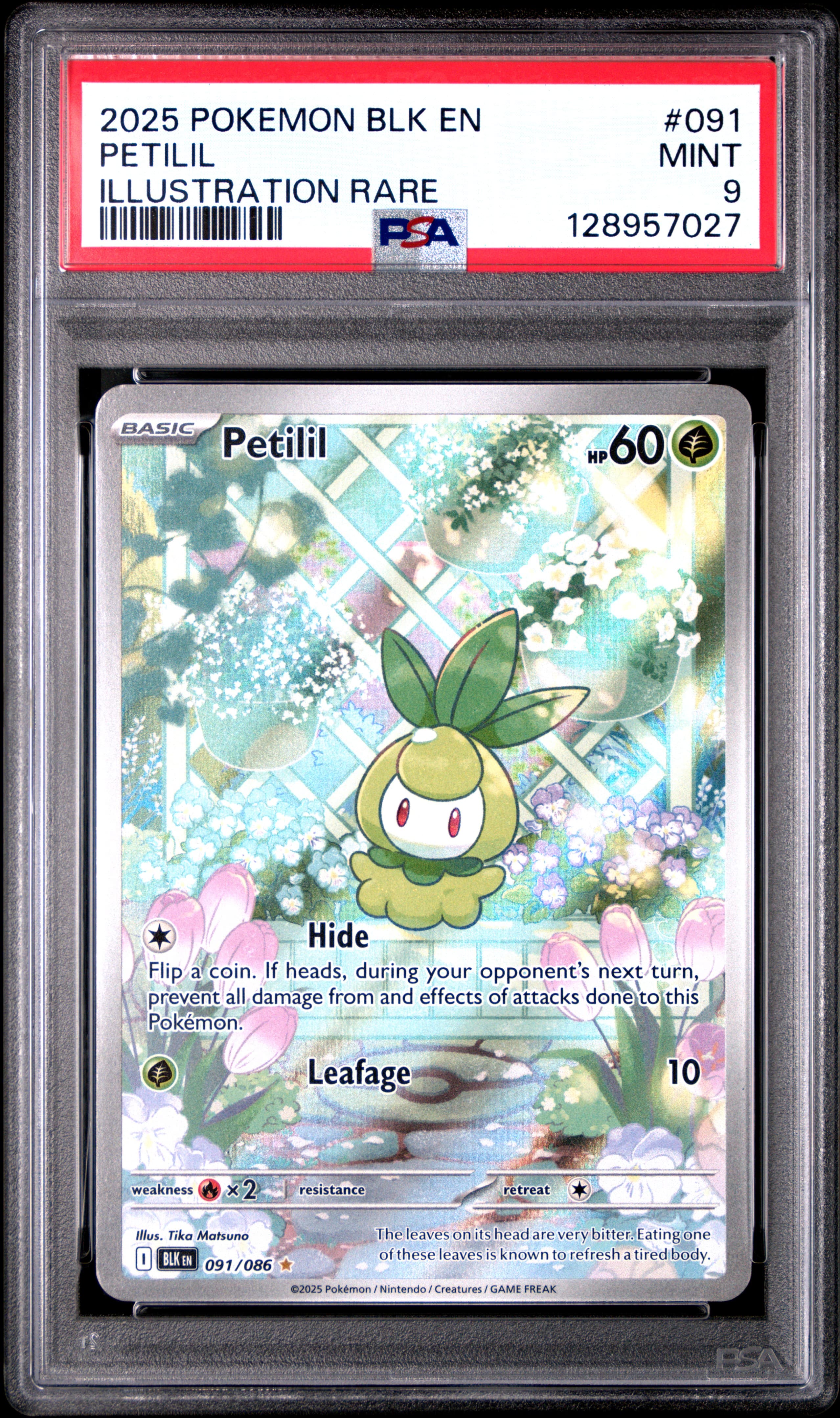 Petilil