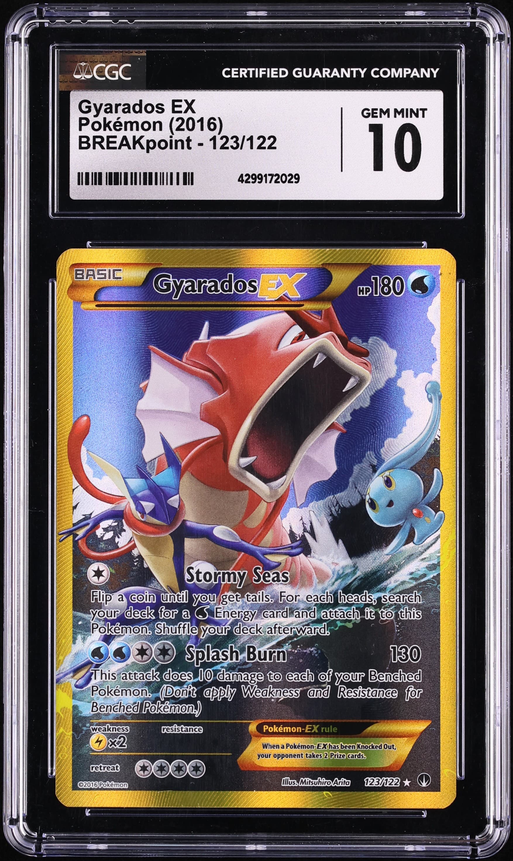 Full Art/Gyarados EX